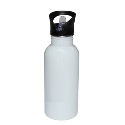 Stainless Bottle with Straw Top Thumbnail